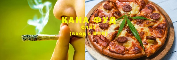 индика Бородино