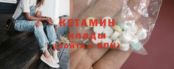 индика Бородино
