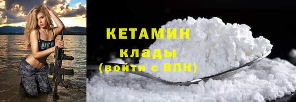 индика Бородино