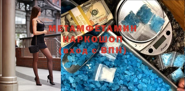 индика Бородино