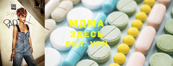 индика Бородино