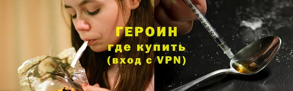 индика Богданович