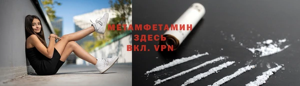 индика Бородино