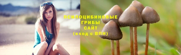 твердый Бугульма