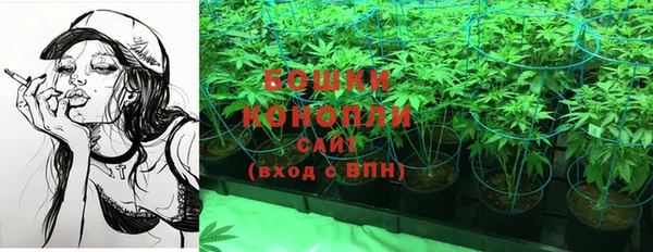 СК Богородск