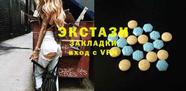 индика Бородино
