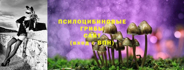 индика Бородино