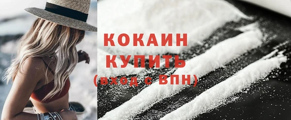 СК Богородск