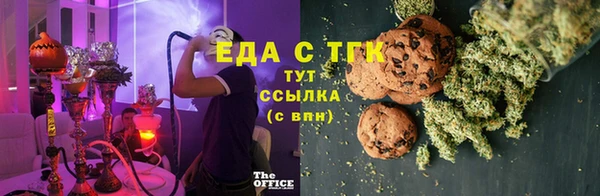 индика Бородино