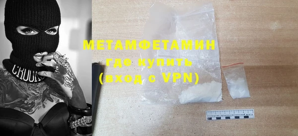 индика Бородино