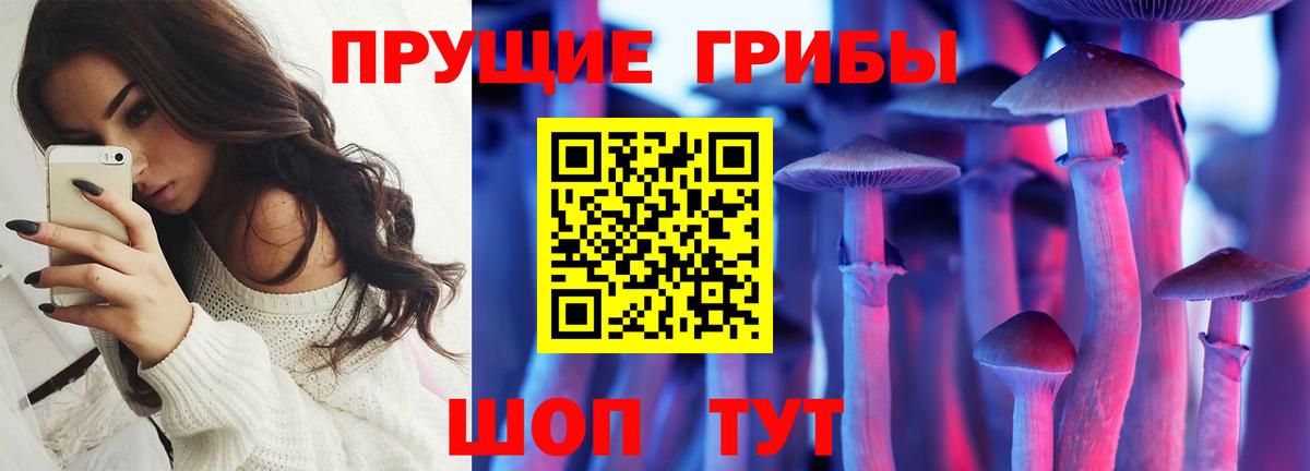 Псилоцибиновые грибы Psilocybine cubensis Бугульма