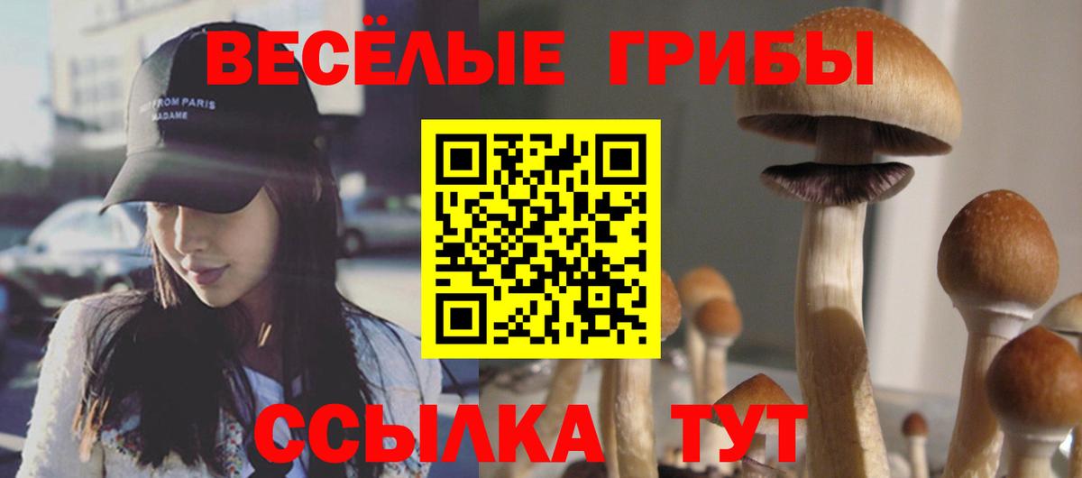 Бугульма  Галлюциногенные грибы Magic Shrooms  Вход с VPN 