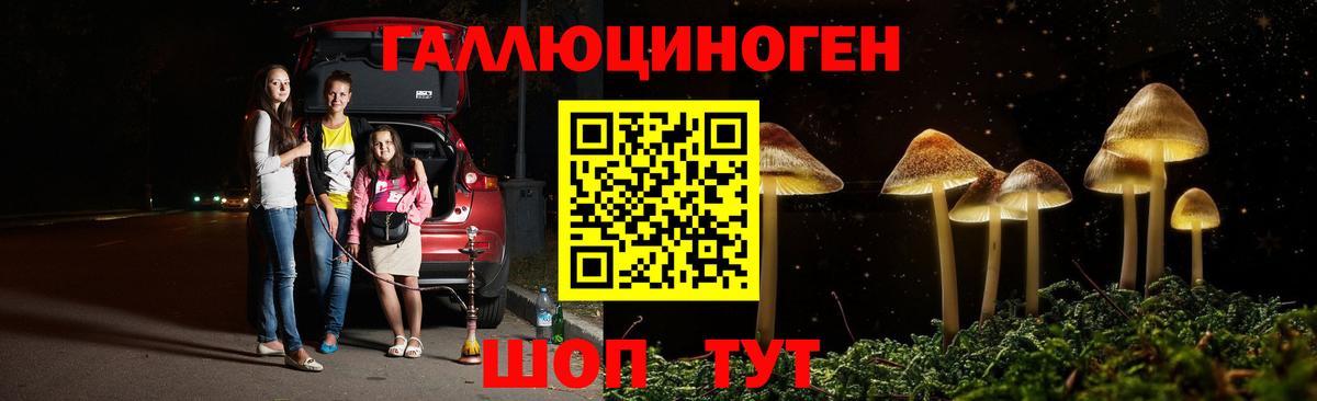 Псилоцибиновые грибы мицелий  Вход с VPN  цена   Галлюциногенные грибы Cubensis  Бугульма 